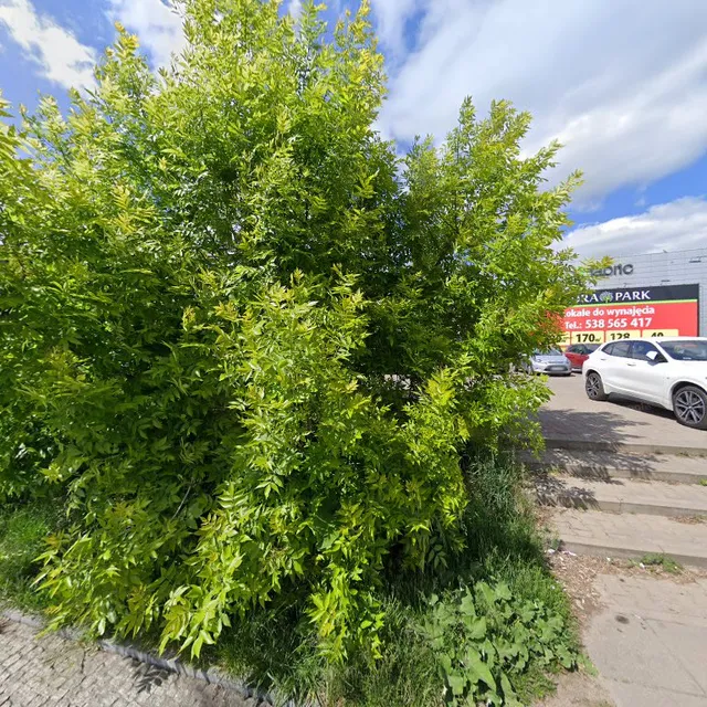 płk. Jana Kilińskiego 122-128