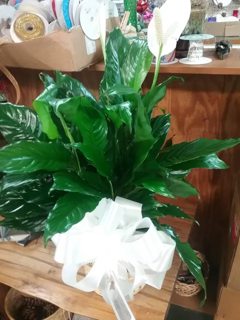 Peggy Sue's Alma Flower Shop & Gifts