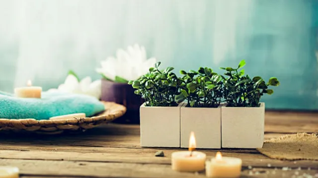 Lash Wax And Glow Spa