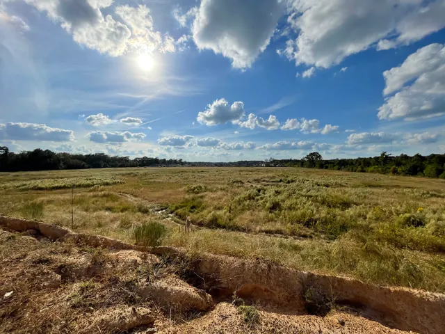 Splendora Fields Neighborhood