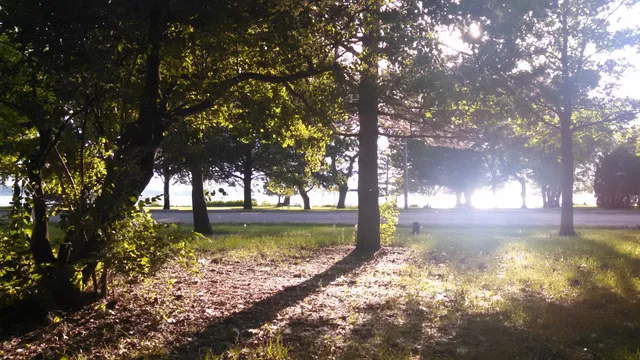 Game & Parks Commission