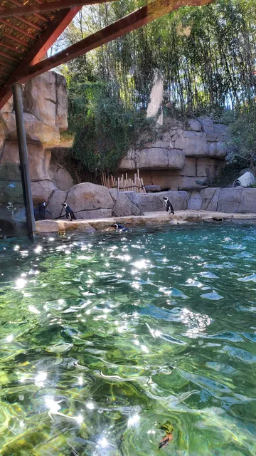 Dallas Zoo Monorail Station
