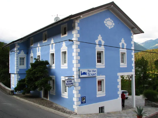 the blue house