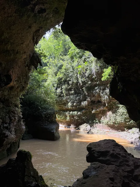 Tanama River Adventures