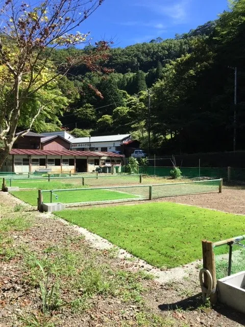 Minshuku Kawarabi-so