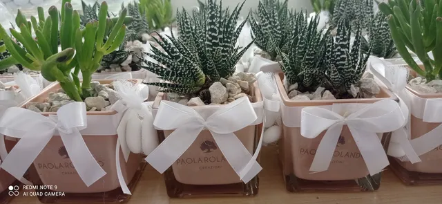 Chicche e Confetti Snc