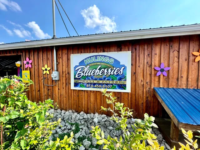 Hulings Blueberries