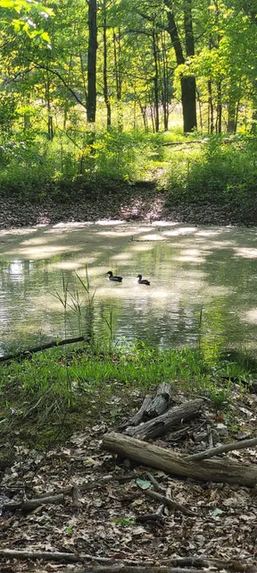 Ojibway Prairie Provincial Nature Reserve Parking lot and trail head