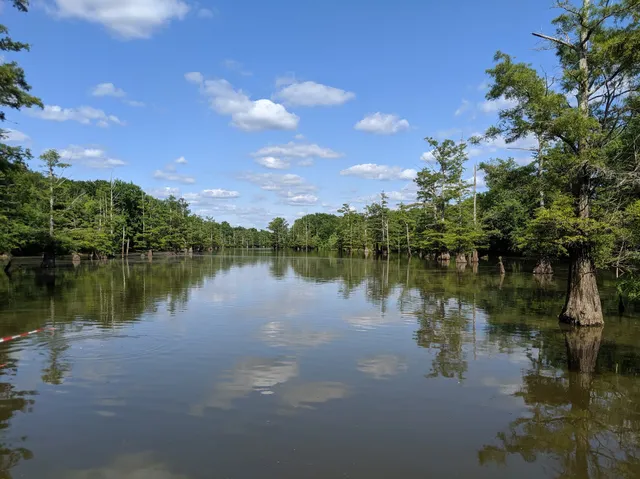 Tennessee National Wildlife Refuge - Duck River Unit