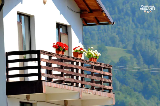 Pensiunea Adelante