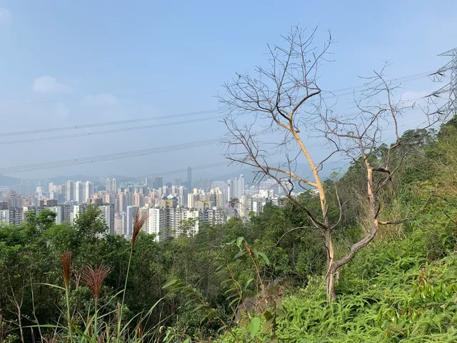 place image