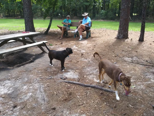 Sesqui State Park Dog Park