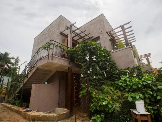 Green Olive Apartments