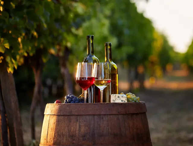 Finger Lakes Winery Tours