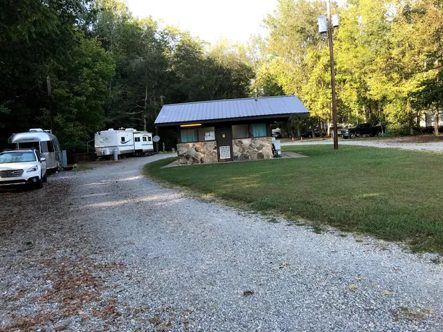 The Crosseyed Cricket