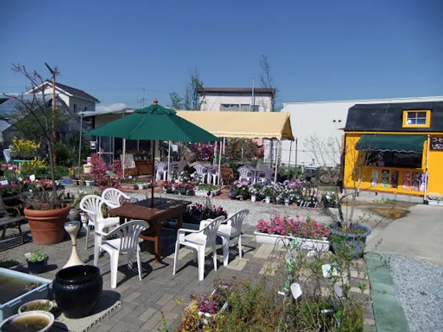 Hijikata Phalaenopsis Orchid & Strawberry Farm