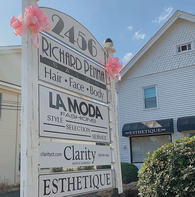 Esthetique on Whitney