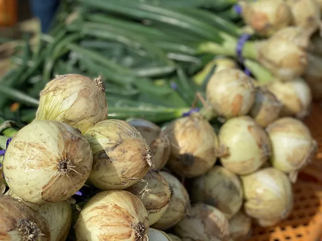 Awaji Onions & Vegetable Produce - Cat Village
