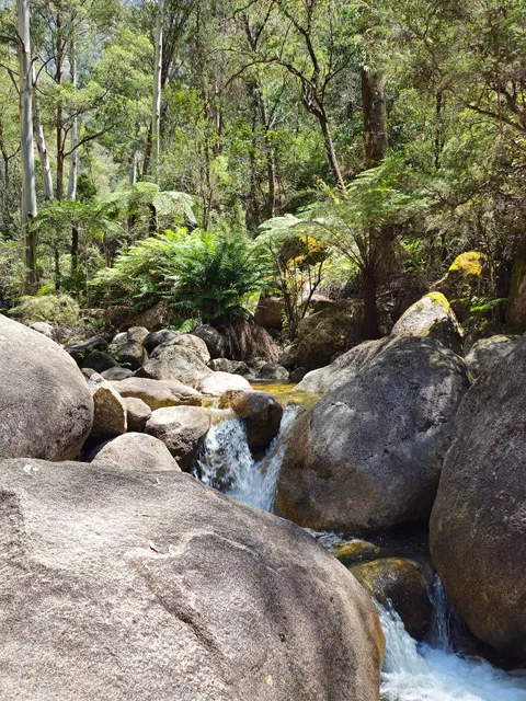 Eurobin Falls Walking Trail