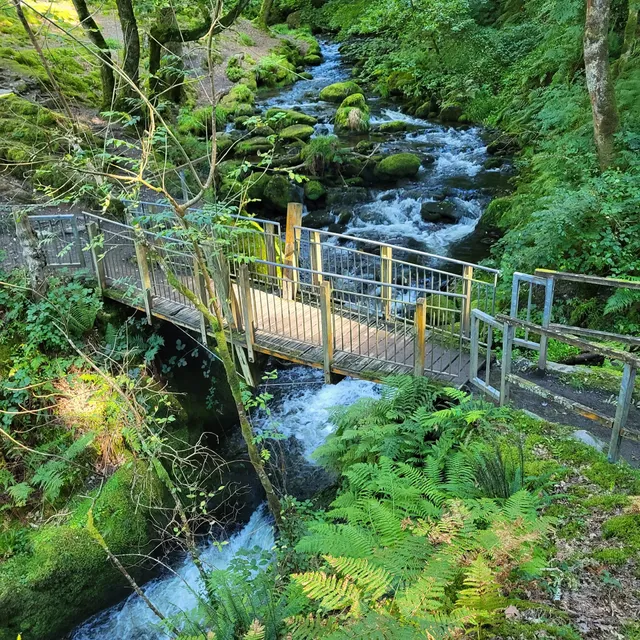 Dolgoch Holidays - self catering accommodation