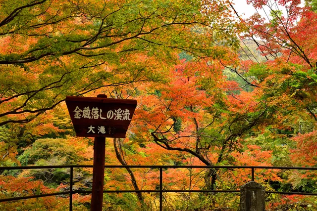 金蔵落しの渓流