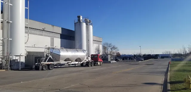 Knead Dough Co Turano Bread