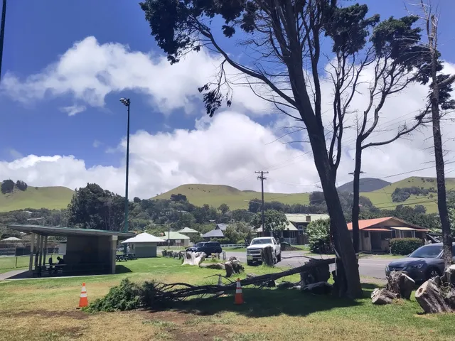 Waimea Skatepark