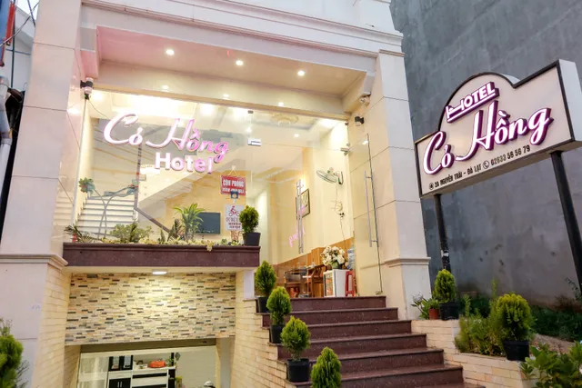 Cỏ hồng hotel