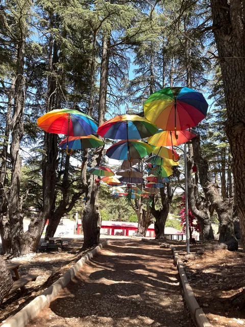 Cedrus Life Bungalow, Kamp ve Karavan