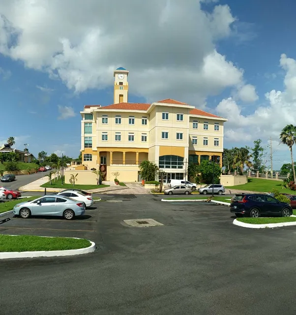 Caribbean University