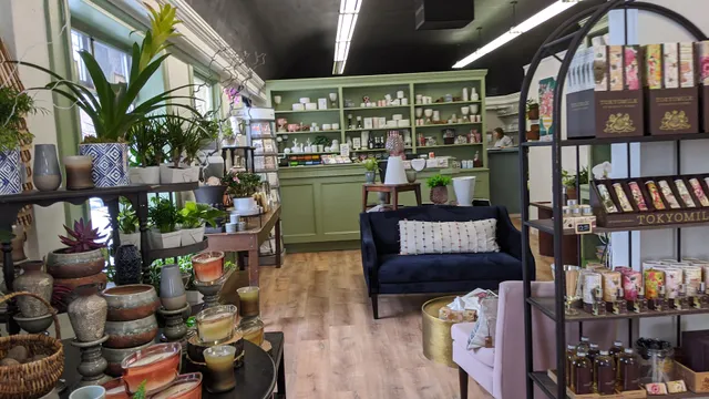 Wild Willow Flower House