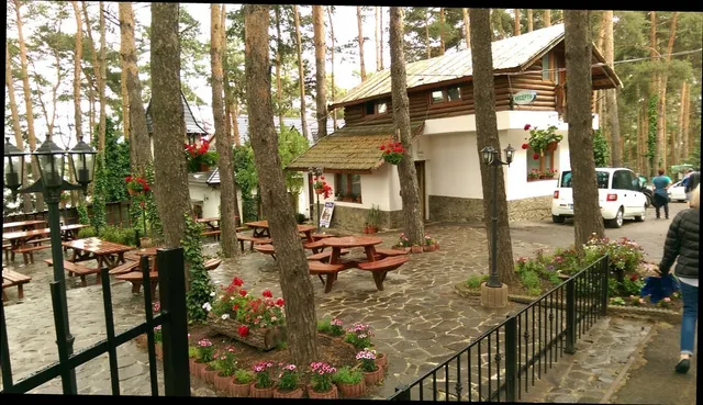 Parcul cu Pini - Mardare -