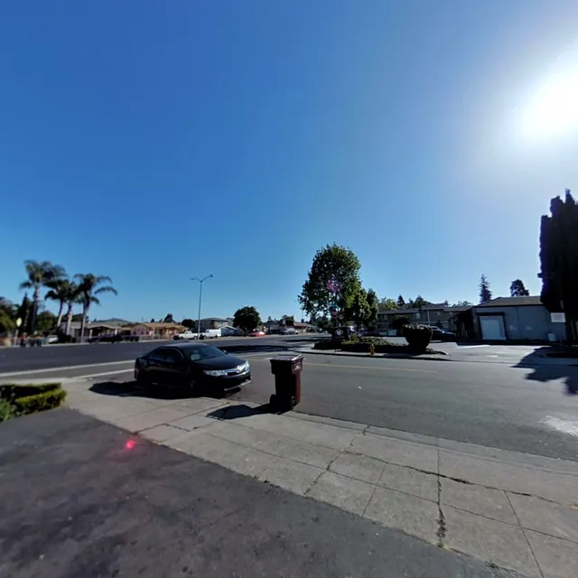 HEART OF THE BAY SMOKESHOP