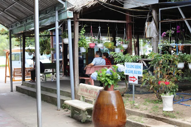 Nhà hàng Cây Dừa