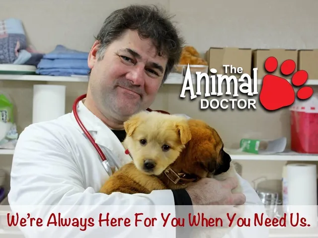 The Animal Doctor