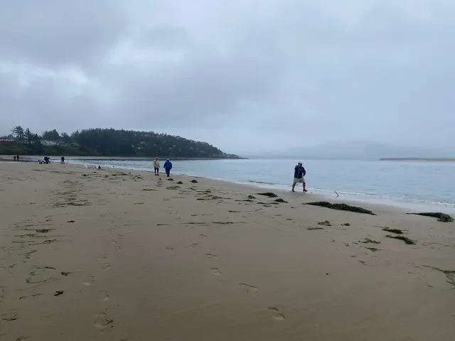 Netarts Bay View Cabins