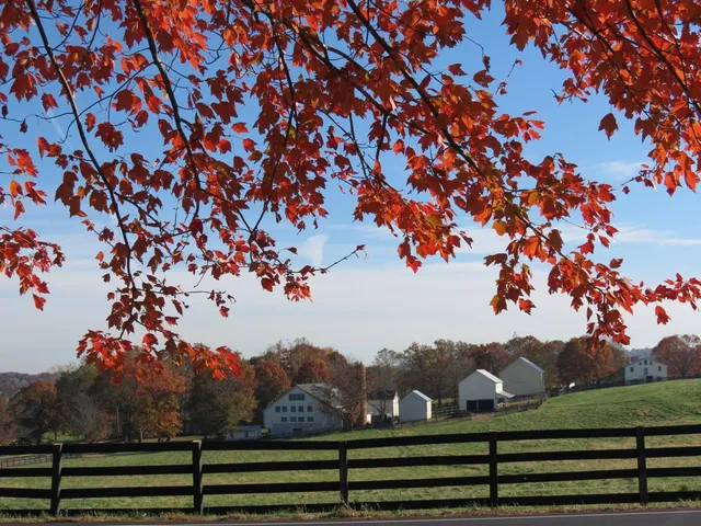 Ironstone Springs Farm