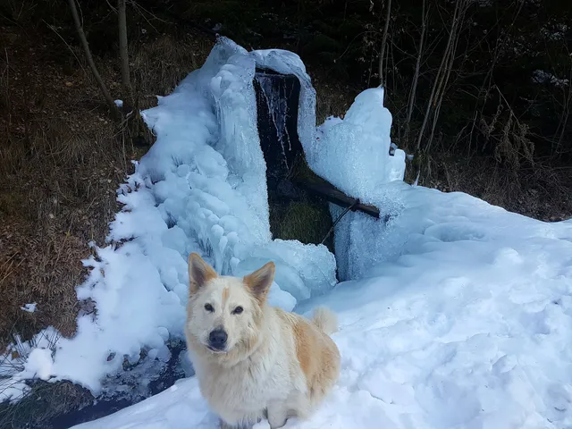 Ferienhaus Kreuzbuche