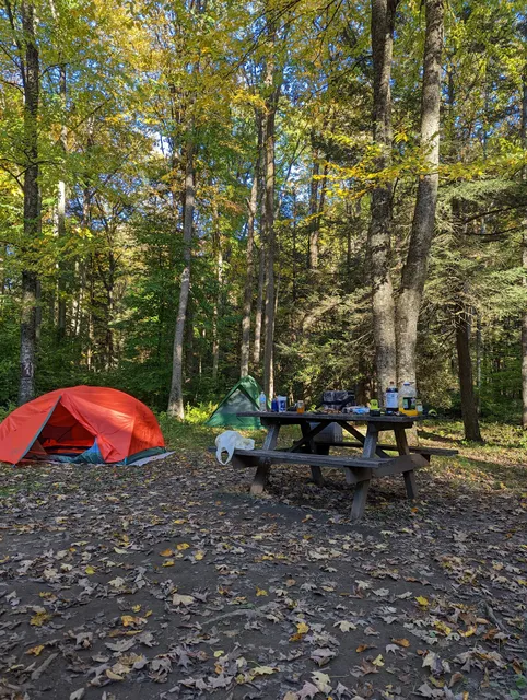 Moshannon State Forest