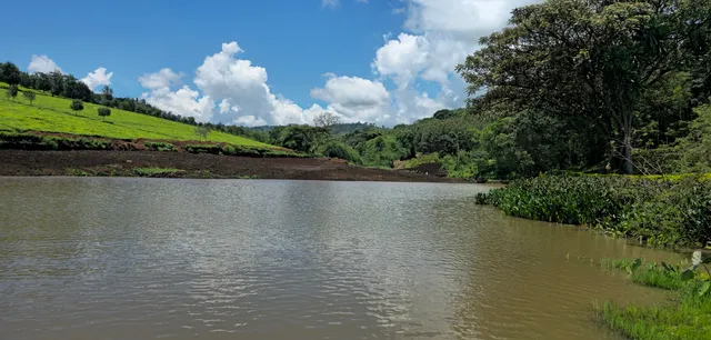 Things to Do in Chepseon ward, Kericho County, Kenya - Discover The Top ...