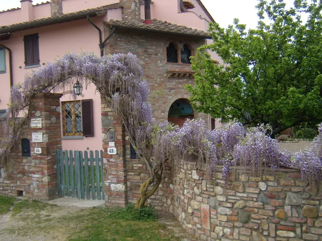B&B Il Poggetto