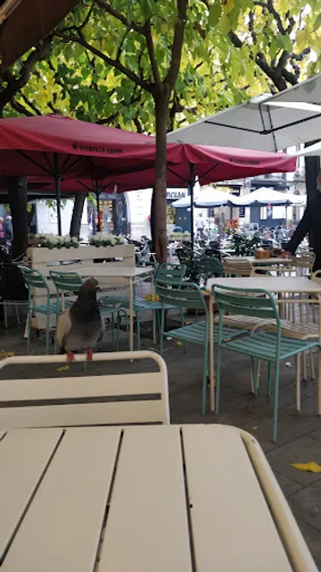 Orriols Forn de pa - Cafeteria