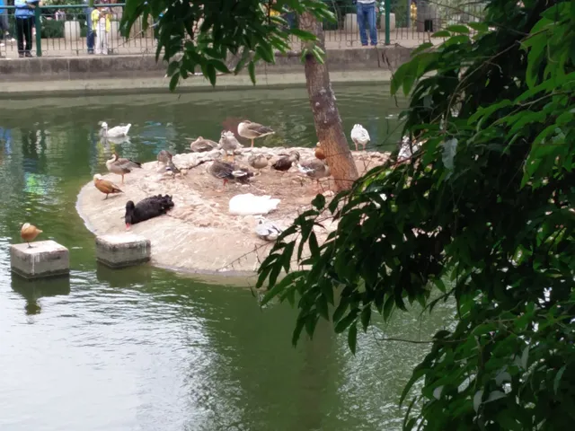 Kunming Zoo （Northeast Gate）