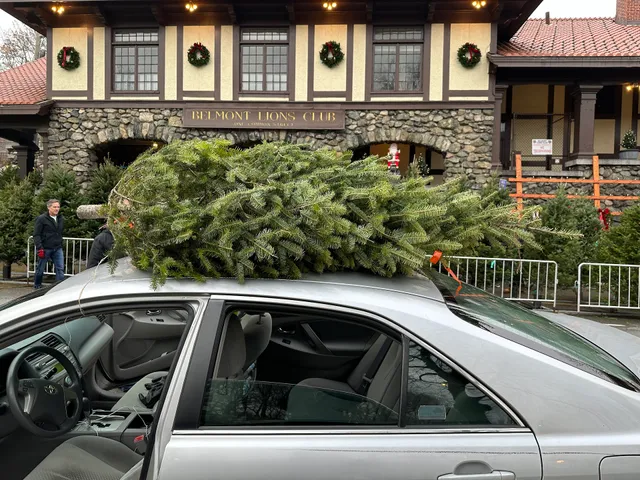Belmont Lions Club