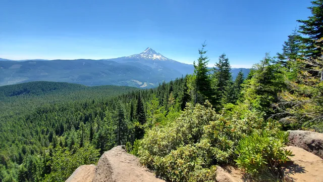 Old Growth Trailhead