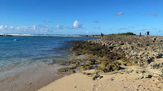 Turtle Bay Vacation Rentals