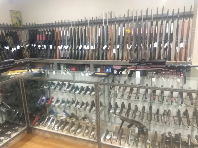 The Gun Shop