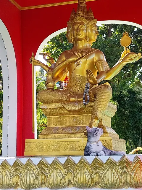 ภูลู่ลมรีสอร์ท