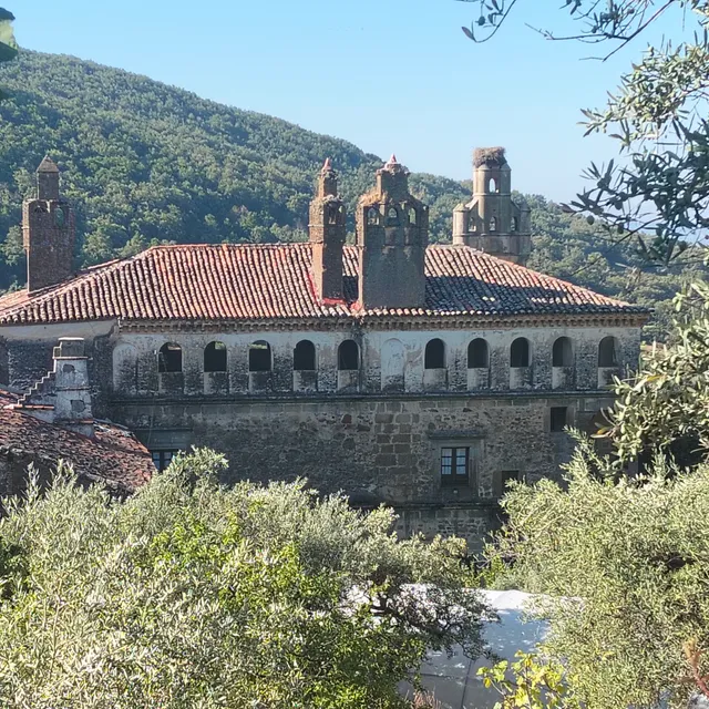 El cielo de las Pajaritas