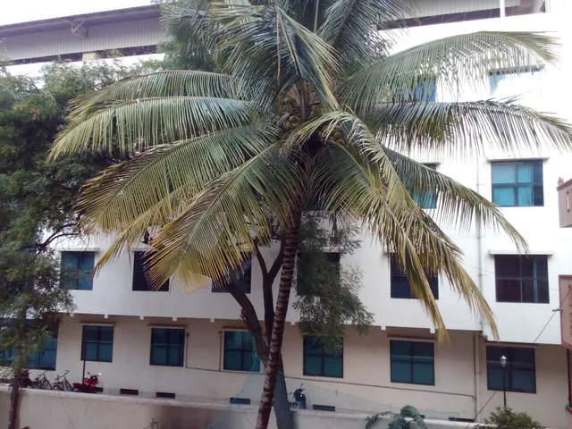 Om Sai Balaji Luxury PG For Gents